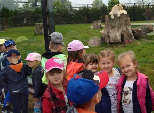 Oddziały przedszkolne na wycieczce do Zoo